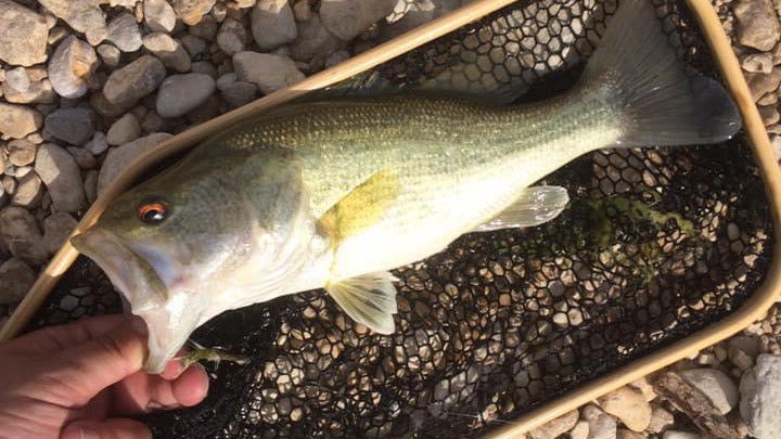 Just Something About Fishing (part three)