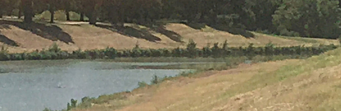 Just Something about Fishing (part two)