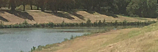 Just Something about Fishing (part two)