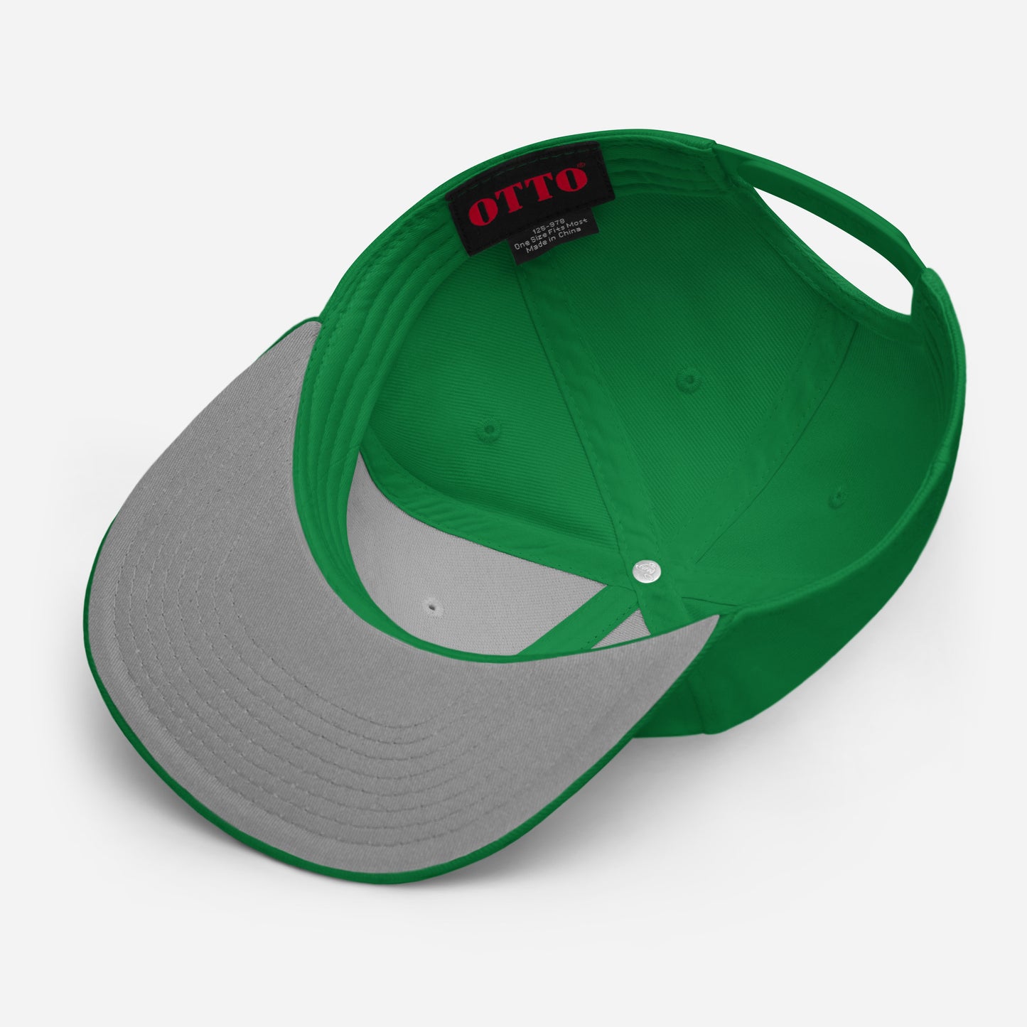 Luck of the 10th Mountain Snapback Hat