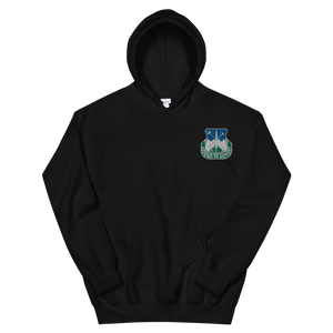 Ascend To Victory Embroidered Hoodie